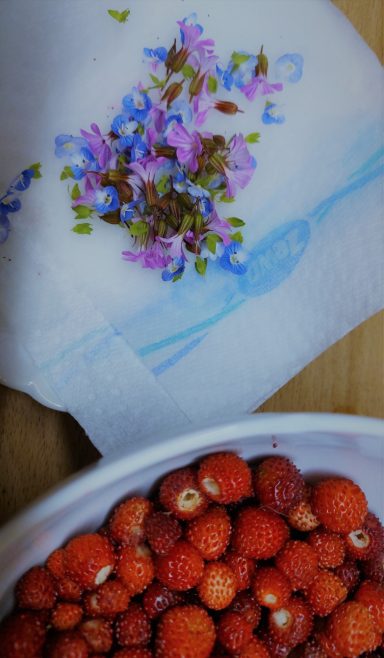 Blüten und Walderdbeeren